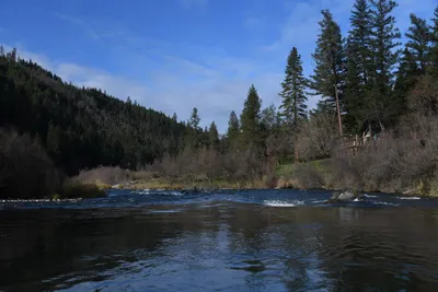 DSC_0230 (Large).JPG